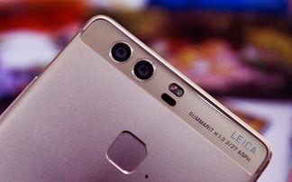 国产欧美手机在线